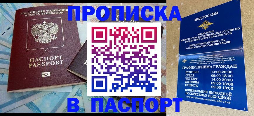 найти адрес прописки в Ершове